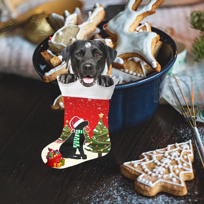 Black Labrador Retriever Christmas Ornament,  Lab In Stocking Ornament QNN605O