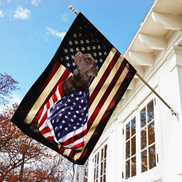 Chocolate Labrador Retriever American Patriot Wrapped in Glory Flag