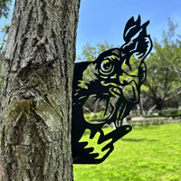 Grumpy rooster