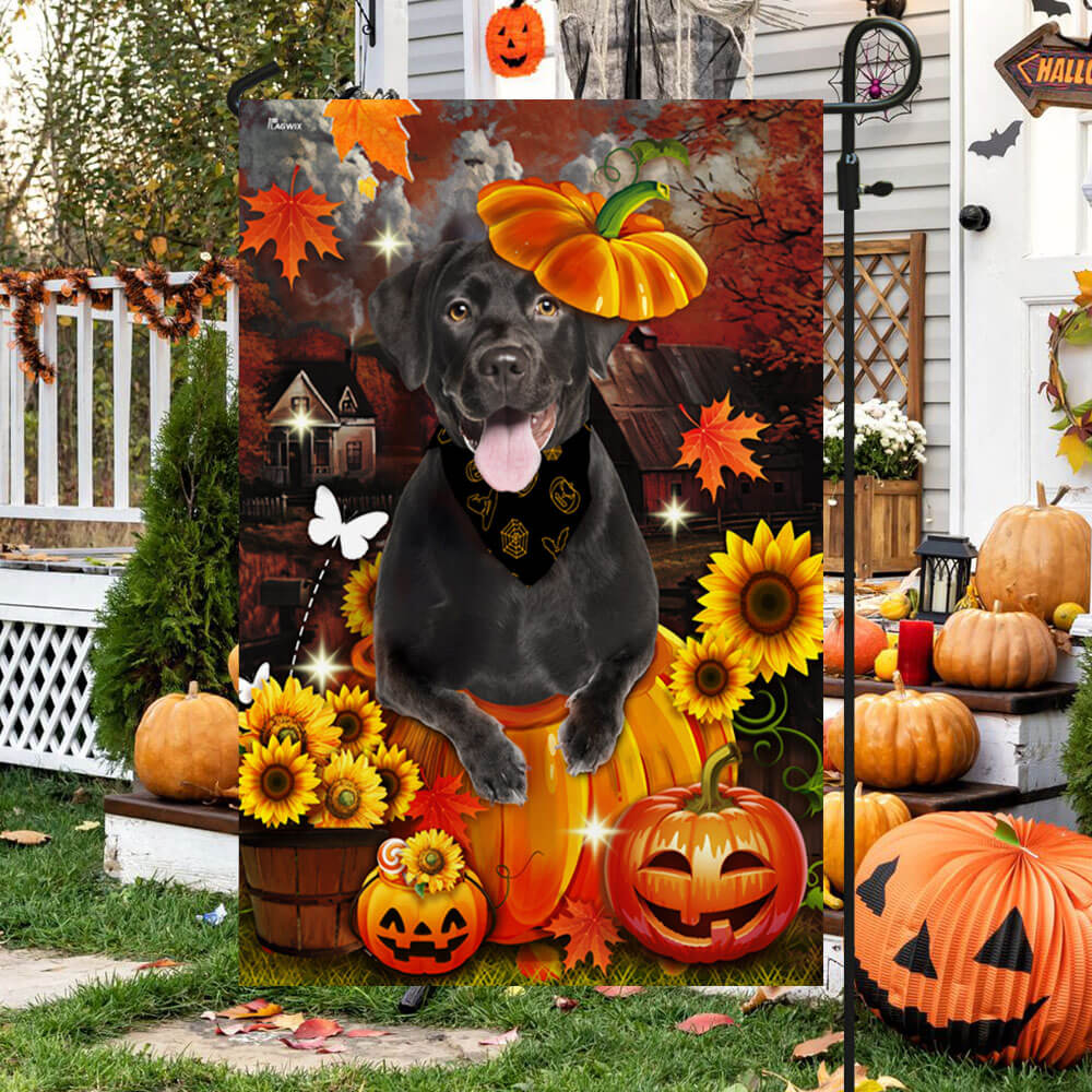 Black Labrador Pumpkin Happy Fall Y'all Flag TPT1240F