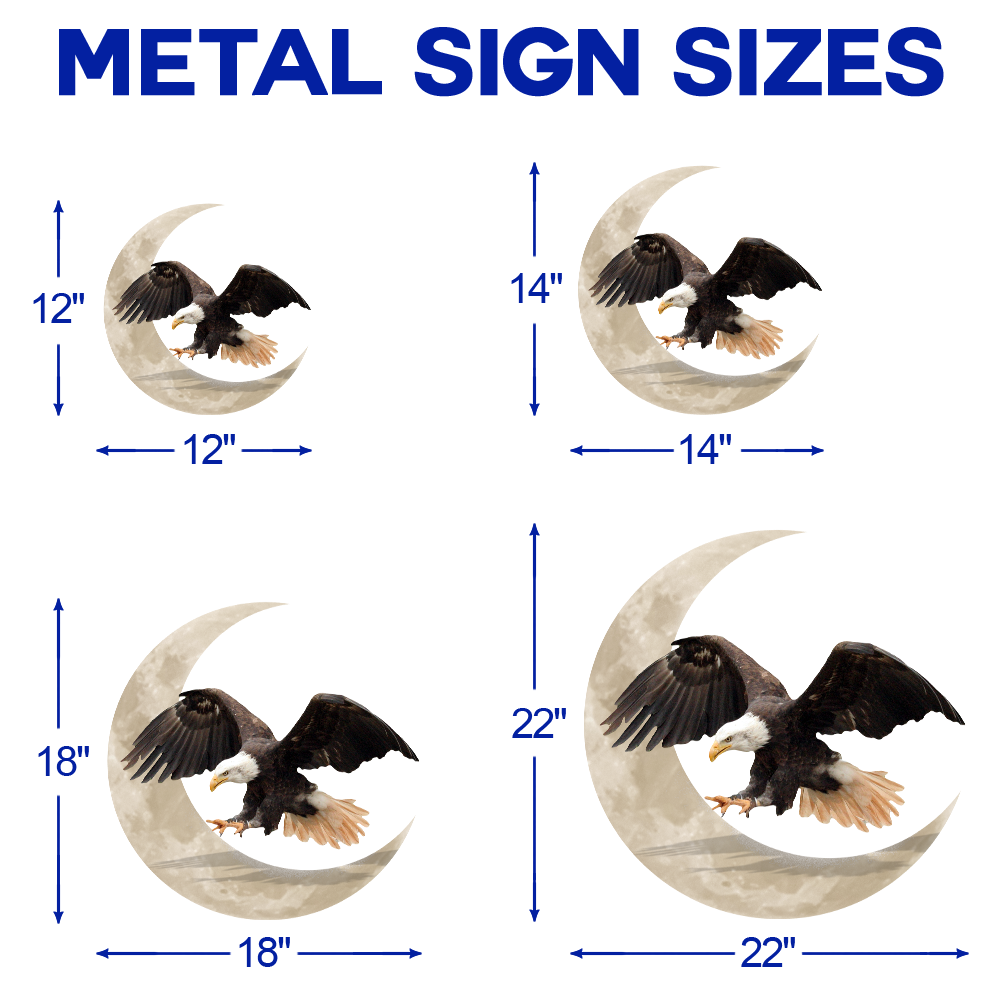 Bald Eagle On The Moon Hanging Metal Sign QNK1005MSv15a