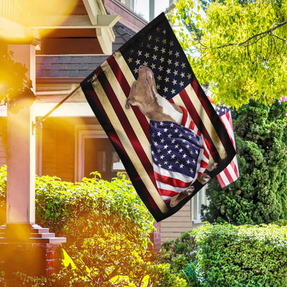 Pitbull American Patriot Flag