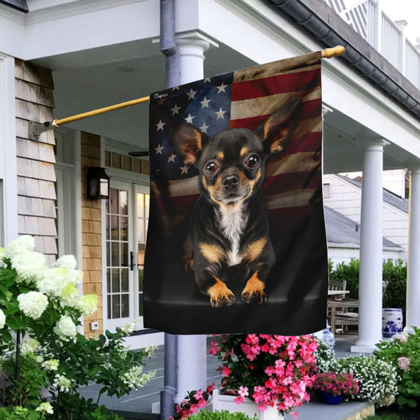 Chihuahua American Flag
