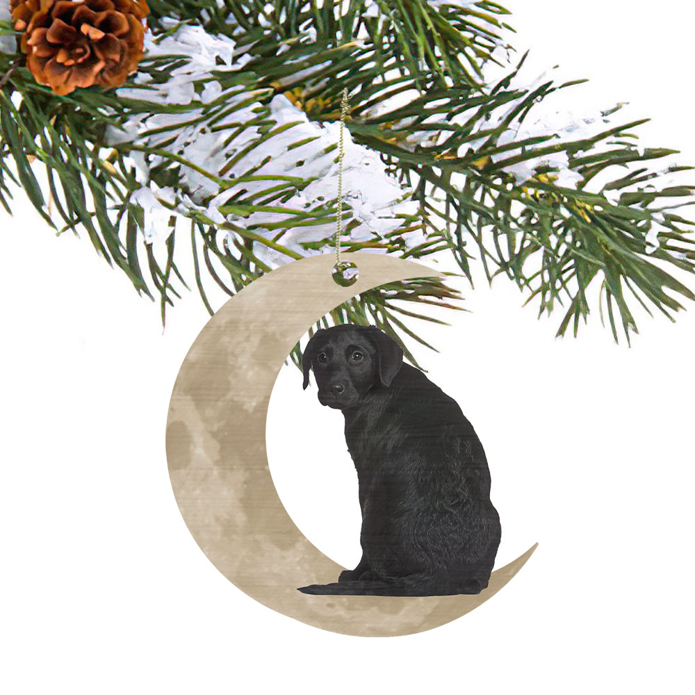 Black Labrador Retriever Ornament, Lab On The Moon Christmas Ornament QNK879Ov1