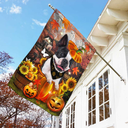 Boston Terrier Pumpkin Happy Fall Y'all Flag DBD2783Fv1