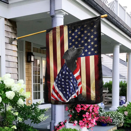 Black Labrador Retriever American Patriot Wrapped in Glory Flag