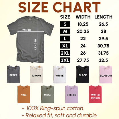 No Kings In America Funny Goose Comfort Colors T-Shirt