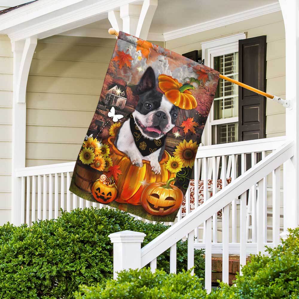 Boston Terrier Pumpkin Happy Fall Y'all Flag DBD2783Fv1