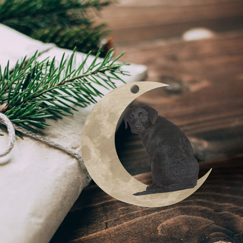 Black Labrador Retriever Ornament, Lab On The Moon Christmas Ornament QNK879Ov1