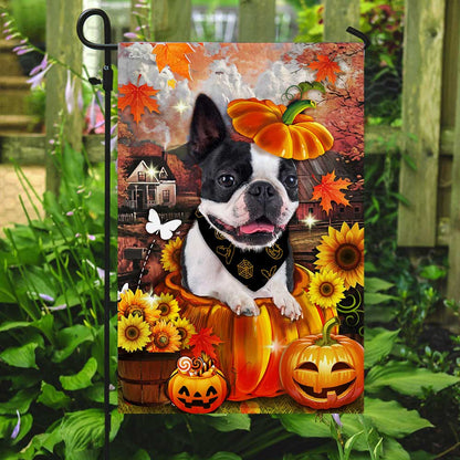 Boston Terrier Pumpkin Happy Fall Y'all Flag DBD2783Fv1