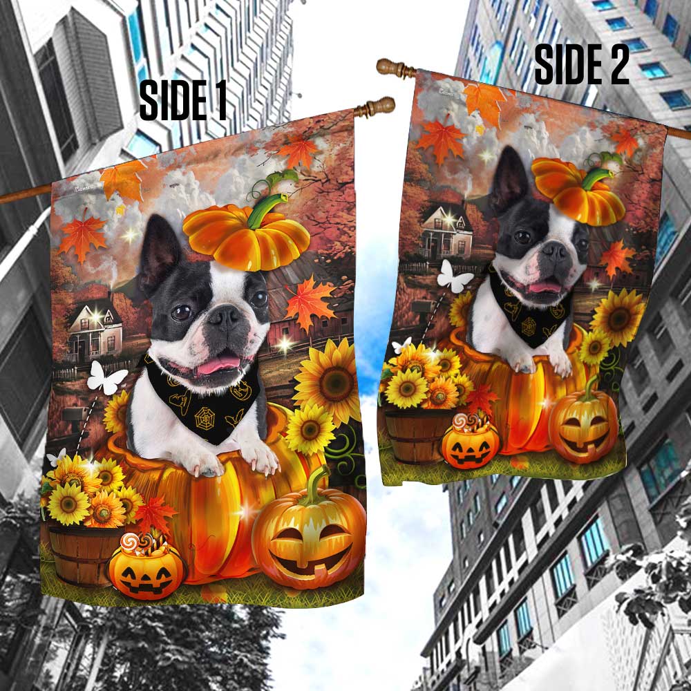 Boston Terrier Pumpkin Happy Fall Y'all Flag DBD2783Fv1