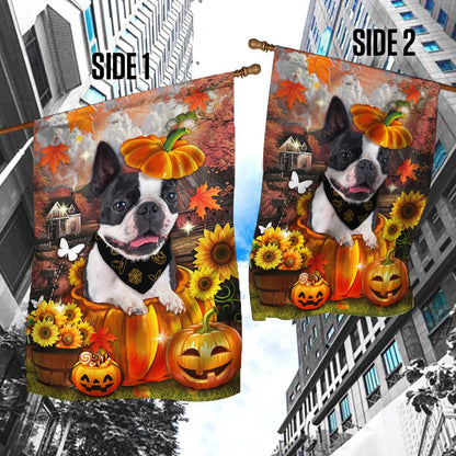 Boston Terrier Pumpkin Happy Fall Y'all Flag DBD2783Fv1