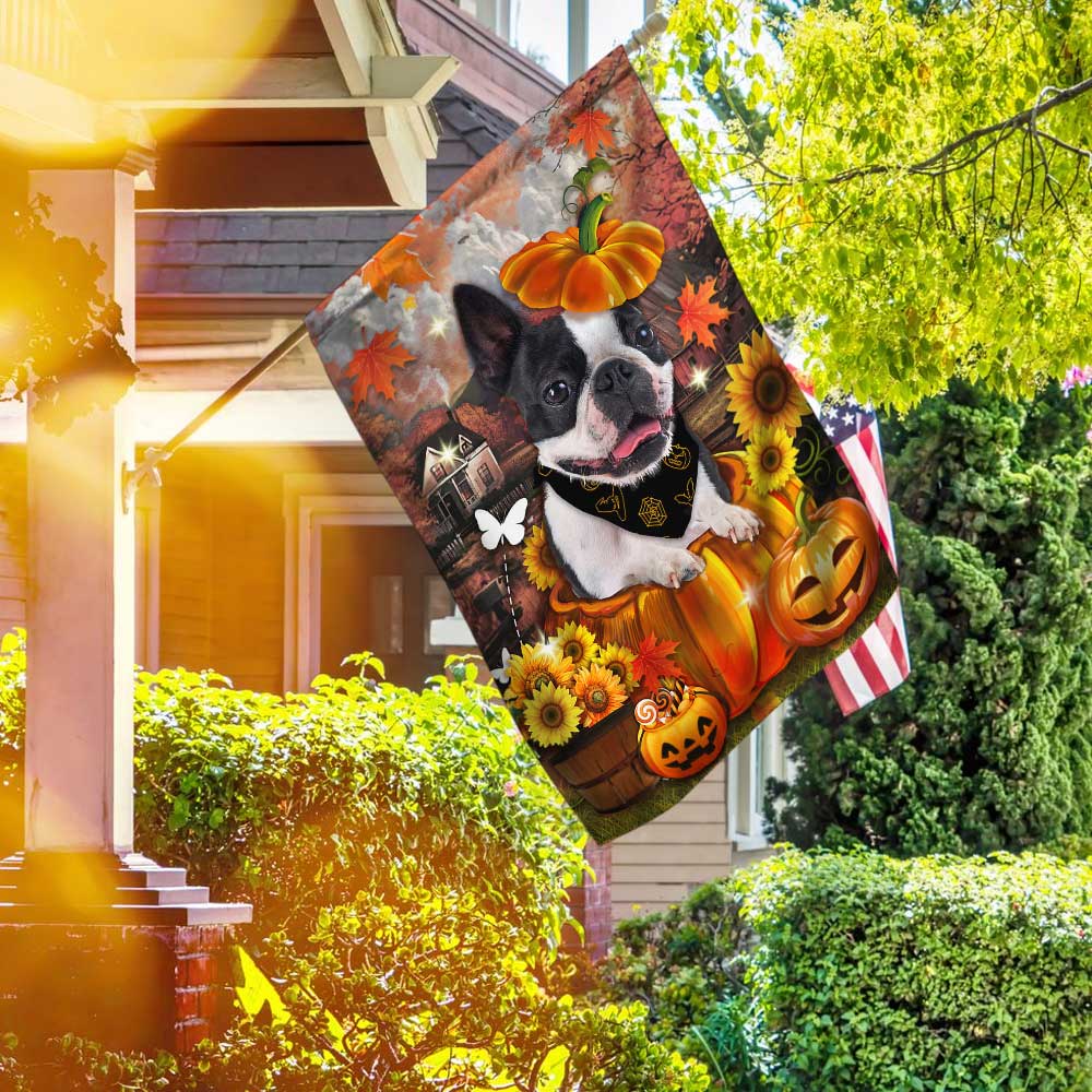 Boston Terrier Pumpkin Happy Fall Y'all Flag DBD2783Fv1