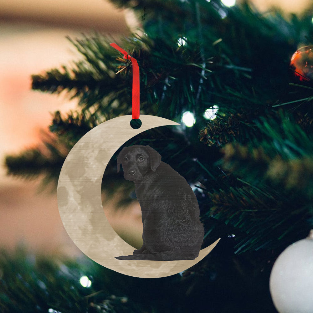 Black Labrador Retriever Ornament, Lab On The Moon Christmas Ornament QNK879Ov1