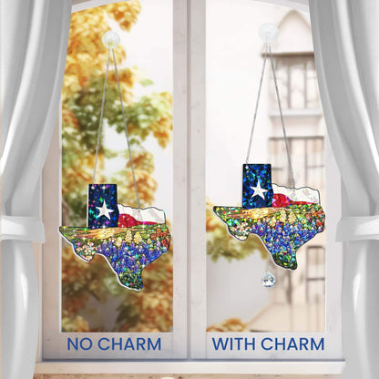 Texas Flag and Bluebonnets Flower Hologram Window Hanging VTM1526TNB
