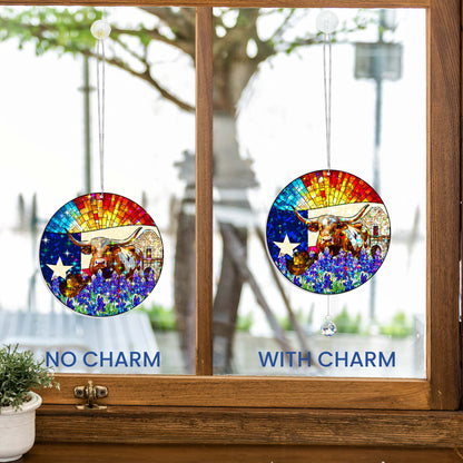 Texas Lone Star Hologram Window Hanging VTM1523NGT