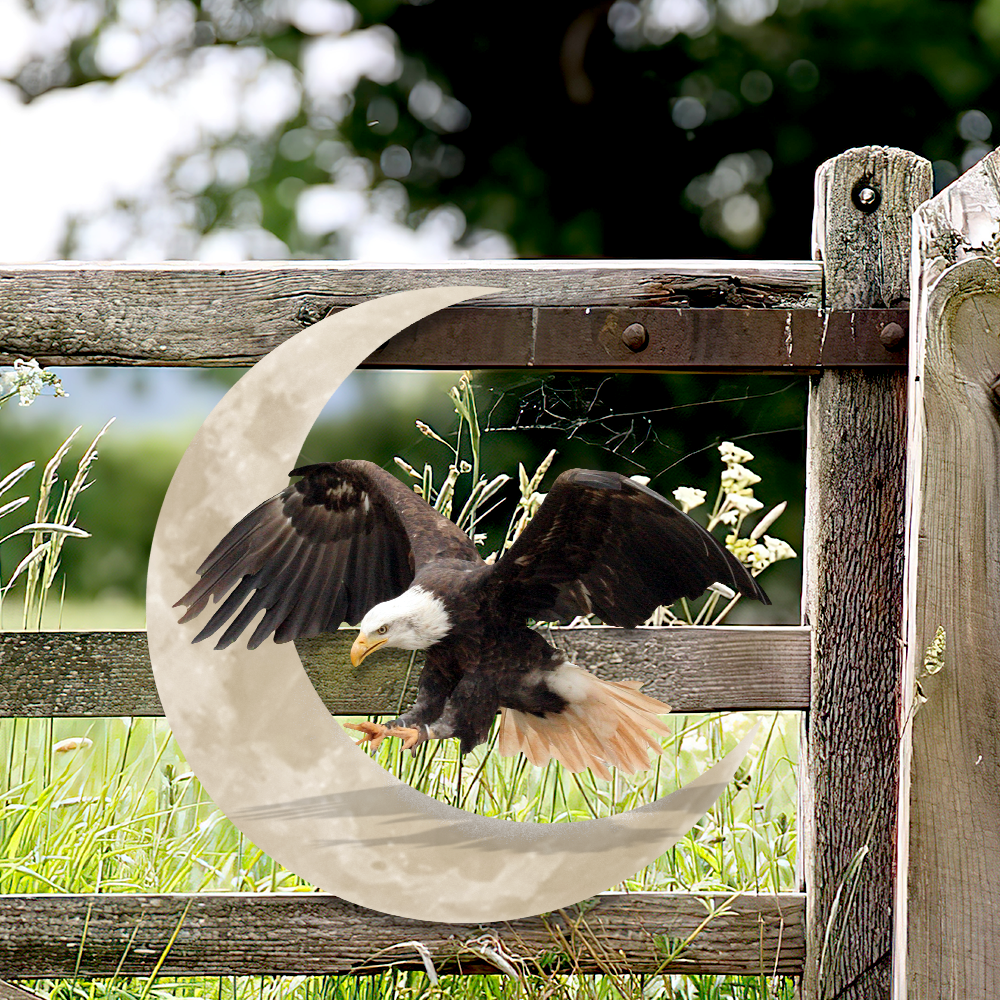 Bald Eagle On The Moon Hanging Metal Sign QNK1005MSv15a