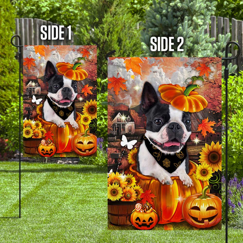 Boston Terrier Pumpkin Happy Fall Y'all Flag DBD2783Fv1