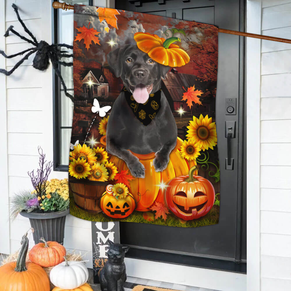 Black Labrador Pumpkin Happy Fall Y'all Flag TPT1240F