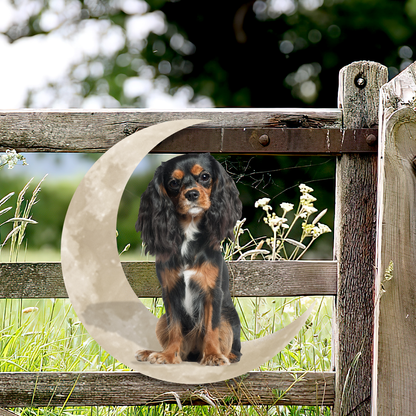 Black And Tan Cavalier On The Moon Hanging Metal Sign QNK879MSv61