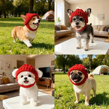 🔥LAST DAY 49% OFF - 🐾Red Wool Knit Dog Beanie with Ear Flaps – Warm Winter Hat