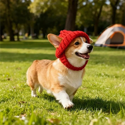 🔥LAST DAY 49% OFF - 🐾Red Wool Knit Dog Beanie with Ear Flaps – Warm Winter Hat