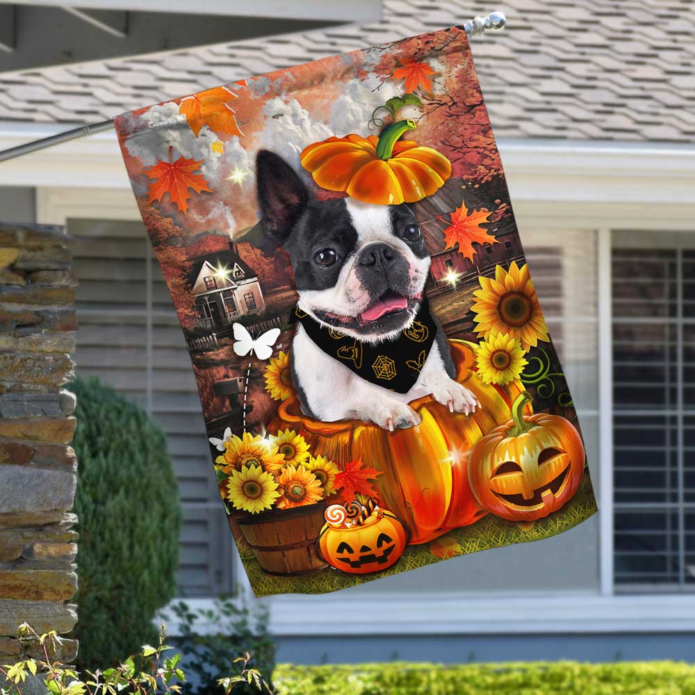 Boston Terrier Pumpkin Happy Fall Y'all Flag DBD2783Fv1
