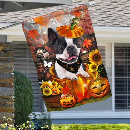 Boston Terrier Pumpkin Happy Fall Y'all Flag DBD2783Fv1