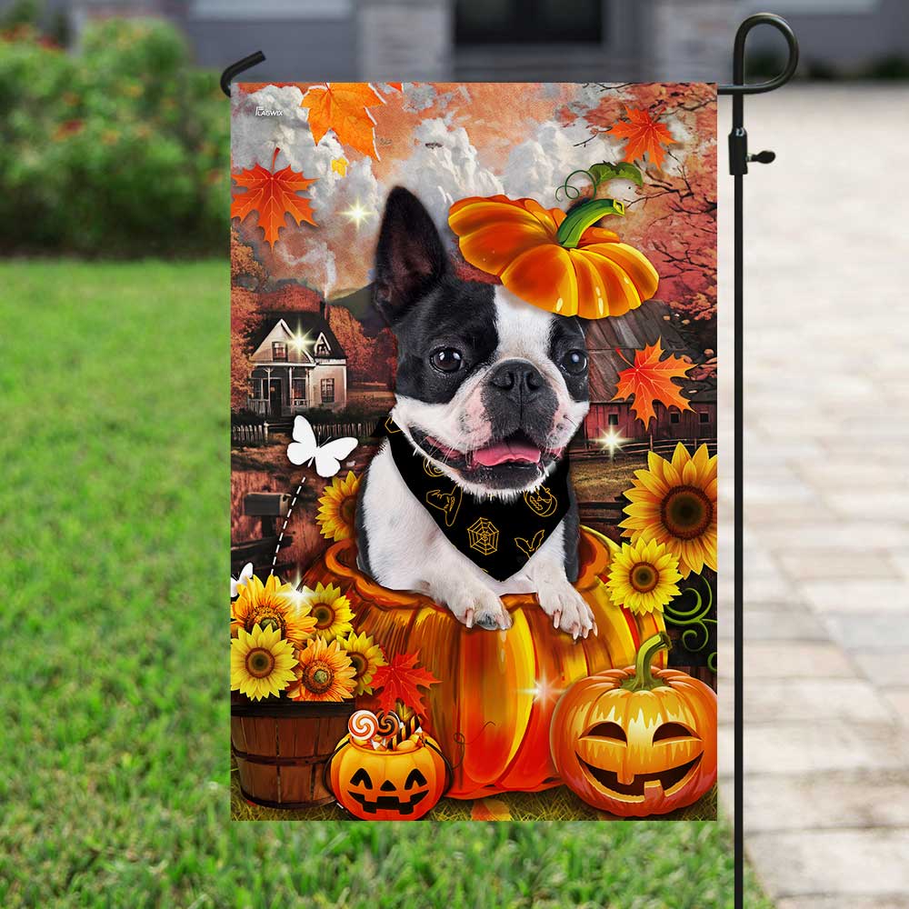 Boston Terrier Pumpkin Happy Fall Y'all Flag DBD2783Fv1