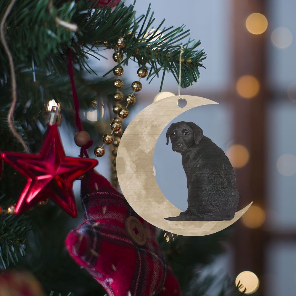 Black Labrador Retriever Ornament, Lab On The Moon Christmas Ornament QNK879Ov1