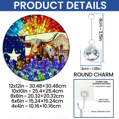 Texas Lone Star Hologram Window Hanging VTM1523NGT