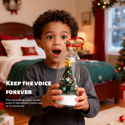 Christmas Voice Wish Bottle