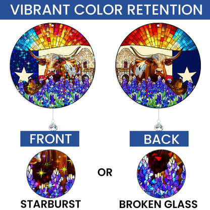 Texas Lone Star Hologram Window Hanging VTM1523NGT