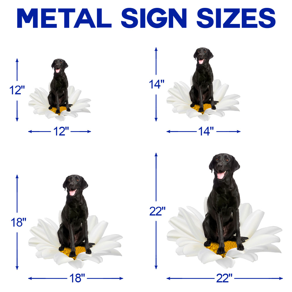 Black Labrador Retriever On White Daisy Hanging Metal Sign QNN625MSv2