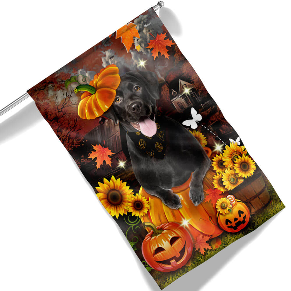 Black Labrador Pumpkin Happy Fall Y'all Flag TPT1240F