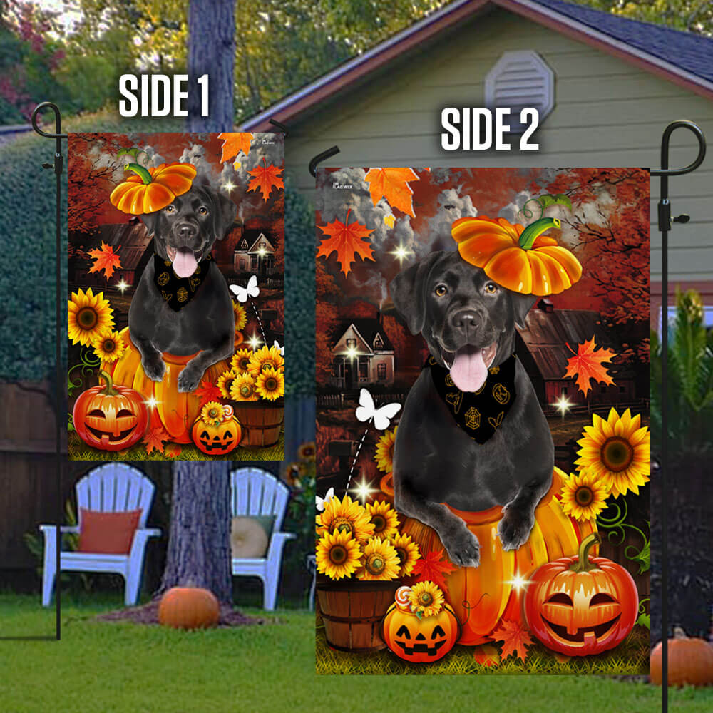 Black Labrador Pumpkin Happy Fall Y'all Flag TPT1240F
