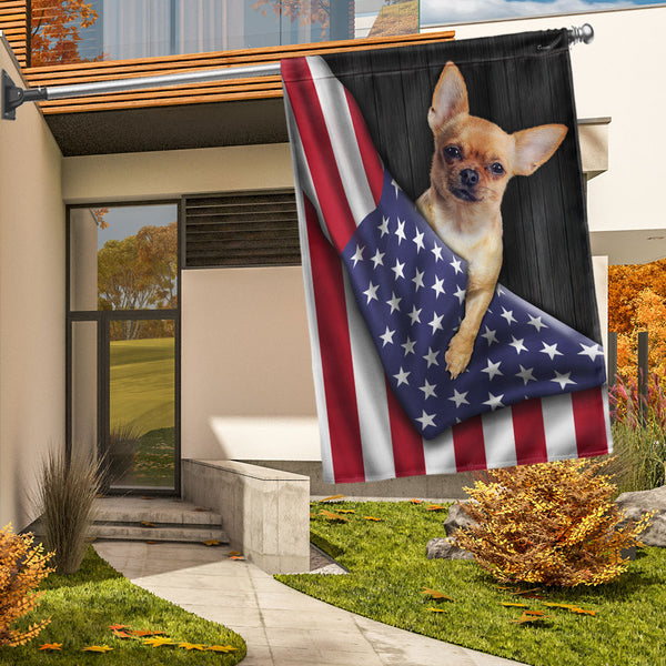 Chihuahua Dog American Flag TQN1136F