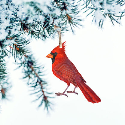 Cardinal Christmas Ornament, Cardinal Memorial Custom-Shaped Ornament QNN600O