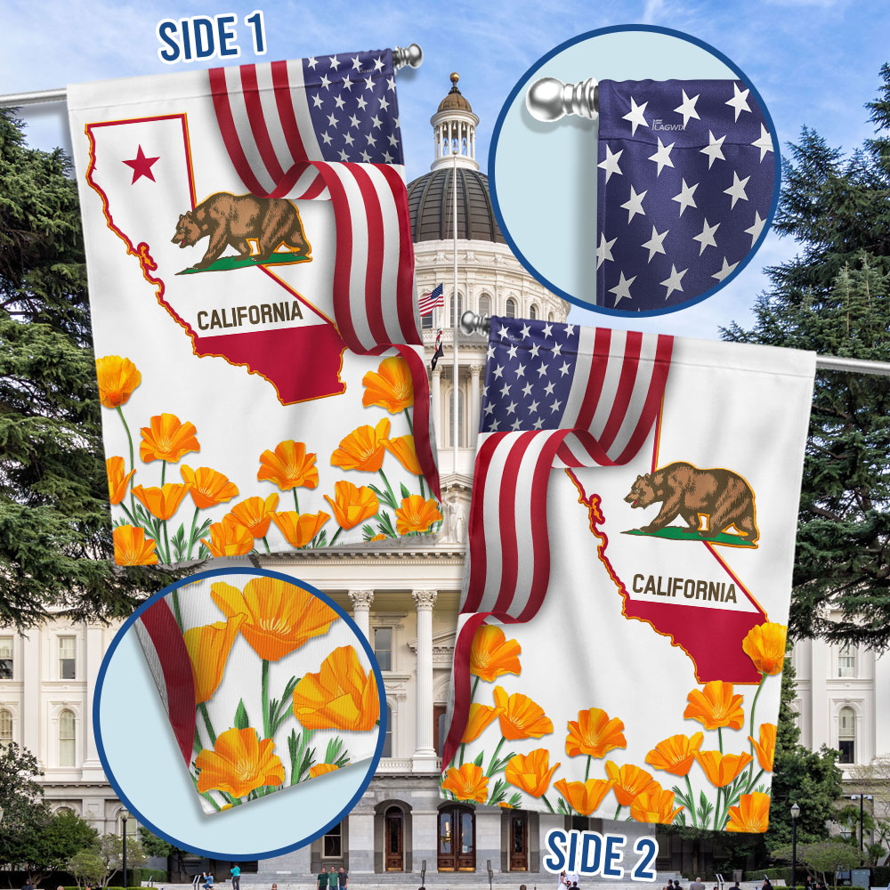 California State With California Poppy Flag MLN1111Fv4