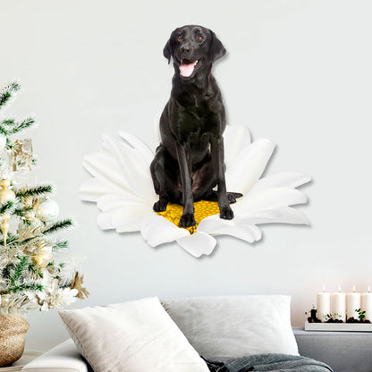 Black Labrador Retriever On White Daisy Hanging Metal Sign QNN625MSv2
